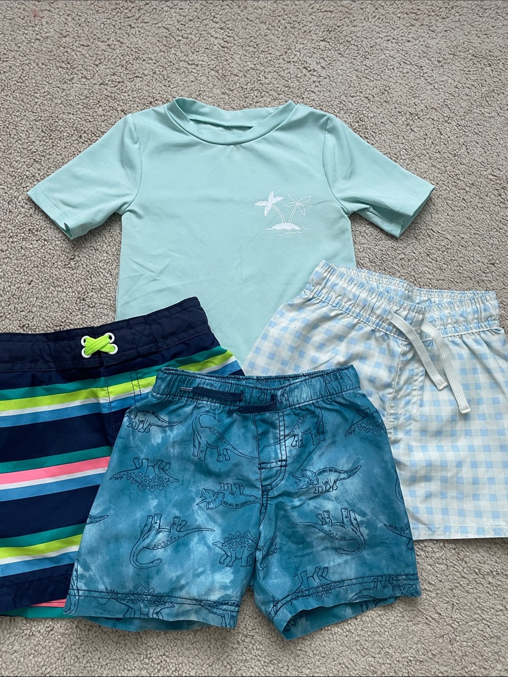 Boys Aqua Palm Tee & 3 Swim Shorts Set